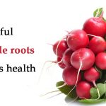 Useful vegetable roots for men's health