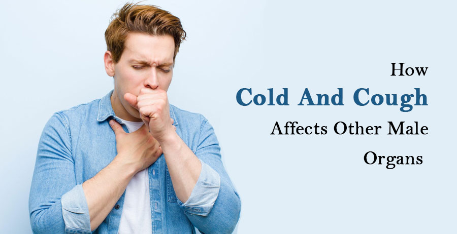 How cold and cough affects other male organs