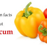 Unknown facts about capsicum