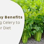 Celery